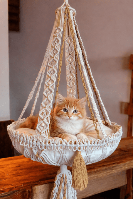 Le nid suspendu - Berceuse pour chat en macramé